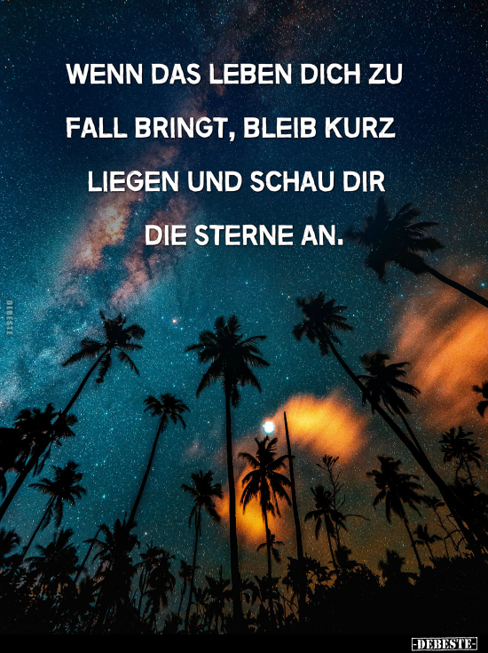 Wenn das Leben dich zu Fall bringt.. - Lustige Bilder | DEBESTE.de