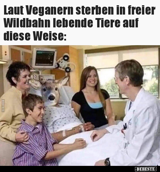 Laut Veganern sterben in freier Wildbahn lebende Tiere auf.. - Lustige Bilder | DEBESTE.de