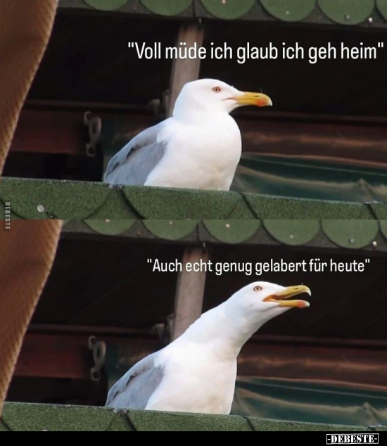 "Voll müde ich glaub ich geh heim".. - Lustige Bilder | DEBESTE.de