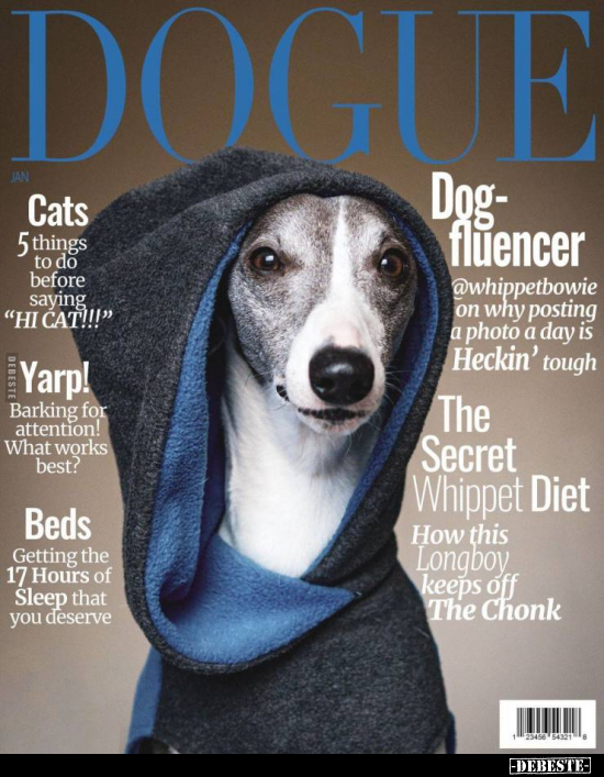 Dogue.
