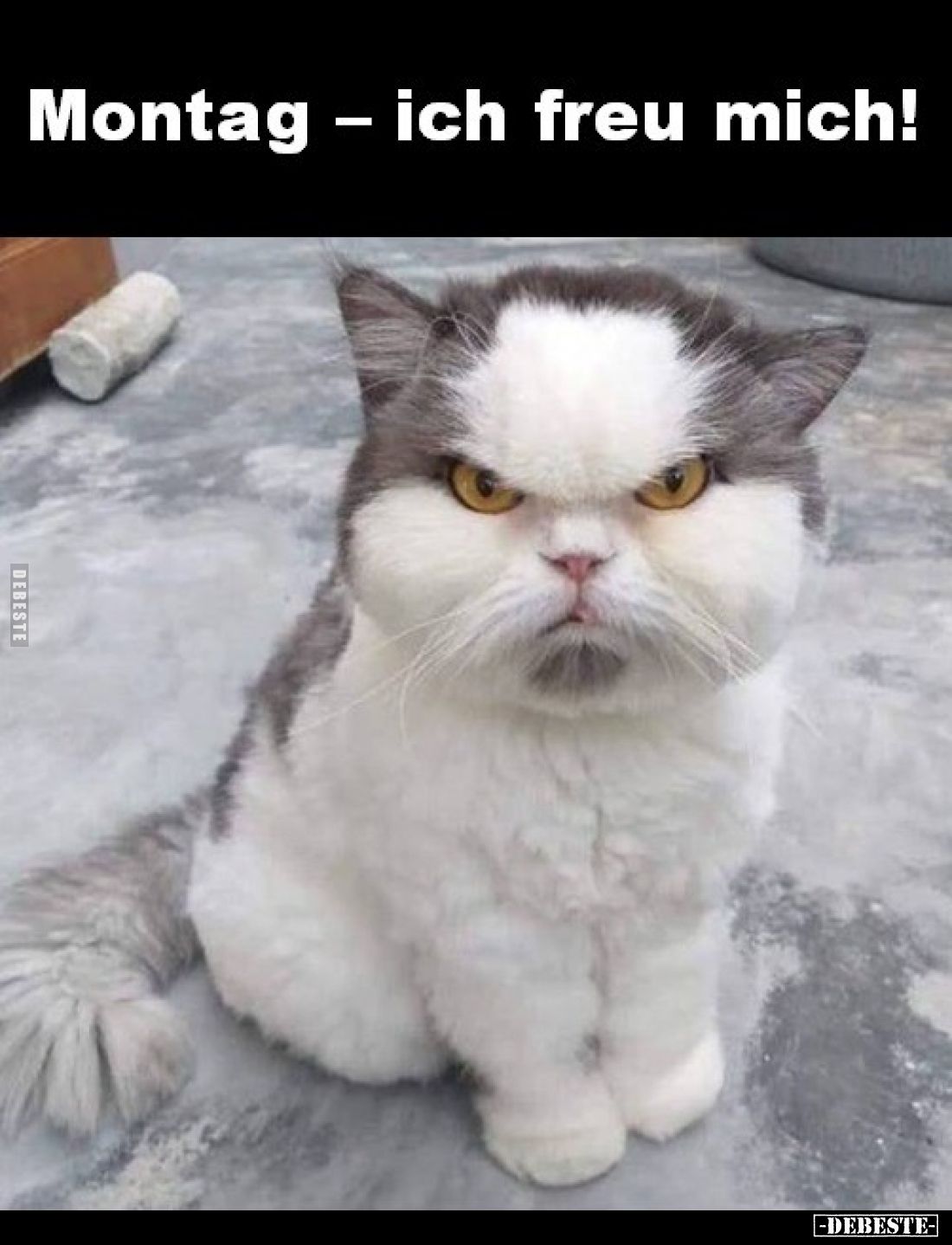 Montag - ich freu mich!