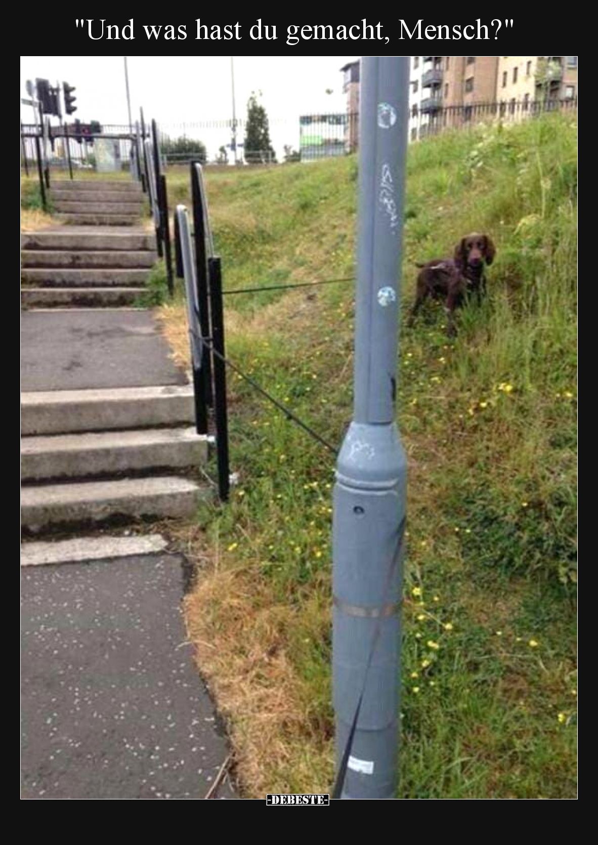 Und was hast du gemacht, Mensch?