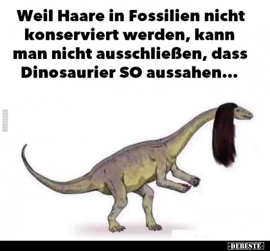 Weil Haare in Fossilien nicht konserviert werden..