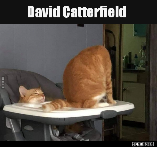 David Catterfield.. - Lustige Bilder | DEBESTE.de