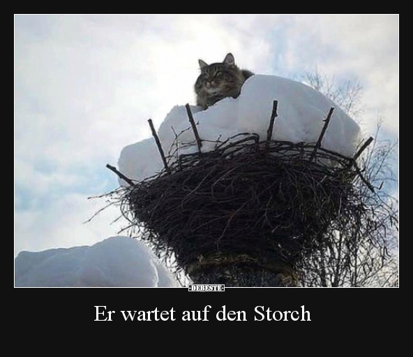Er wartet auf den Storch.. - Lustige Bilder | DEBESTE.de