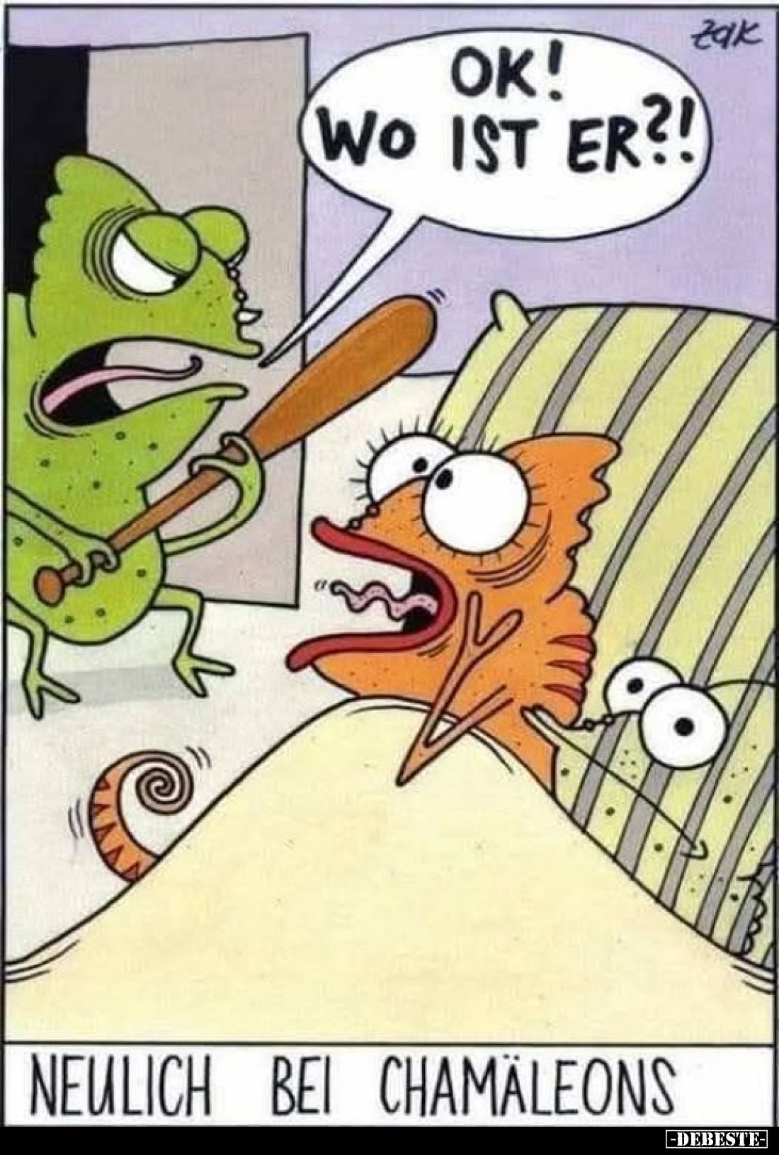 Ok! Wo ist er?!
Neulich bei Chamäleons.
