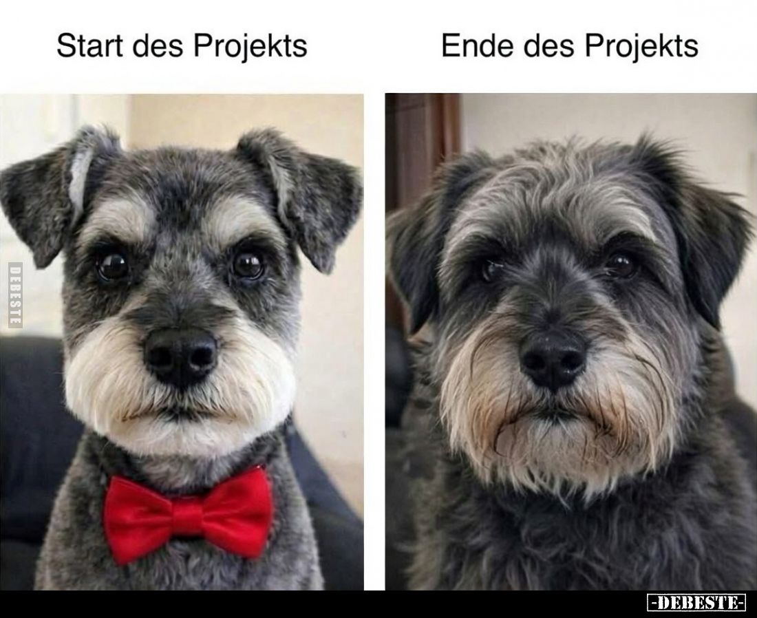  - Lustige Bilder | DEBESTE.de