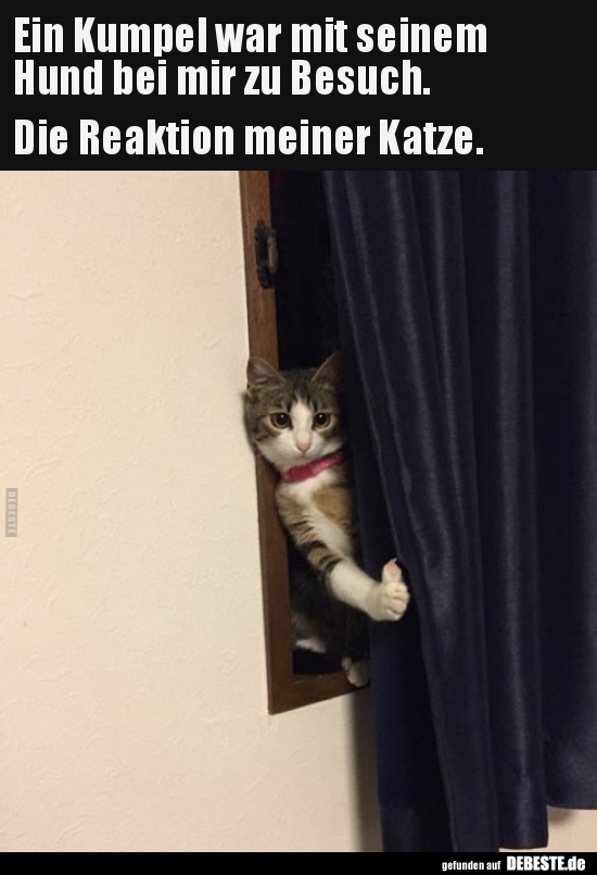 Ein Kumpel war mit seinem Hund bei mir zu Besuch..