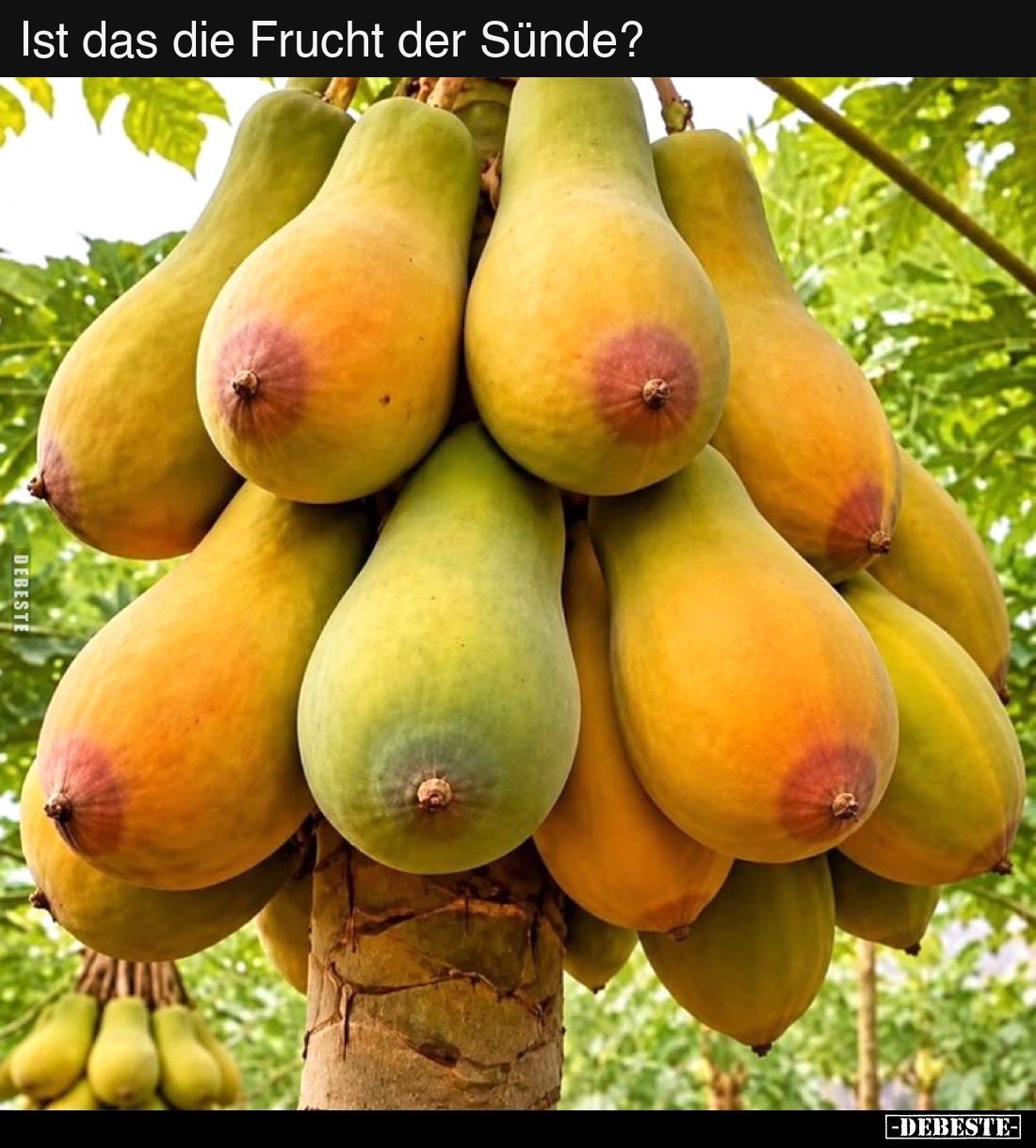 Ist das die Frucht der Sünde?.. - Lustige Bilder | DEBESTE.de