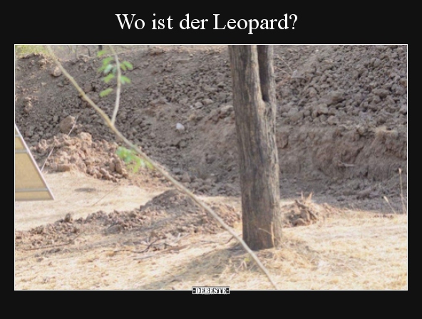 Wo ist der Leopard?.. - Lustige Bilder | DEBESTE.de