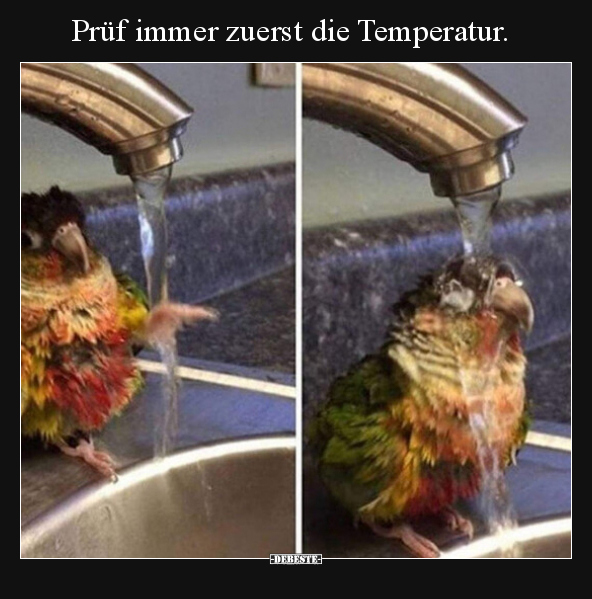 Prüf immer zuerst die Temperatur... - Lustige Bilder | DEBESTE.de