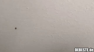 Katzen sind praktisch..