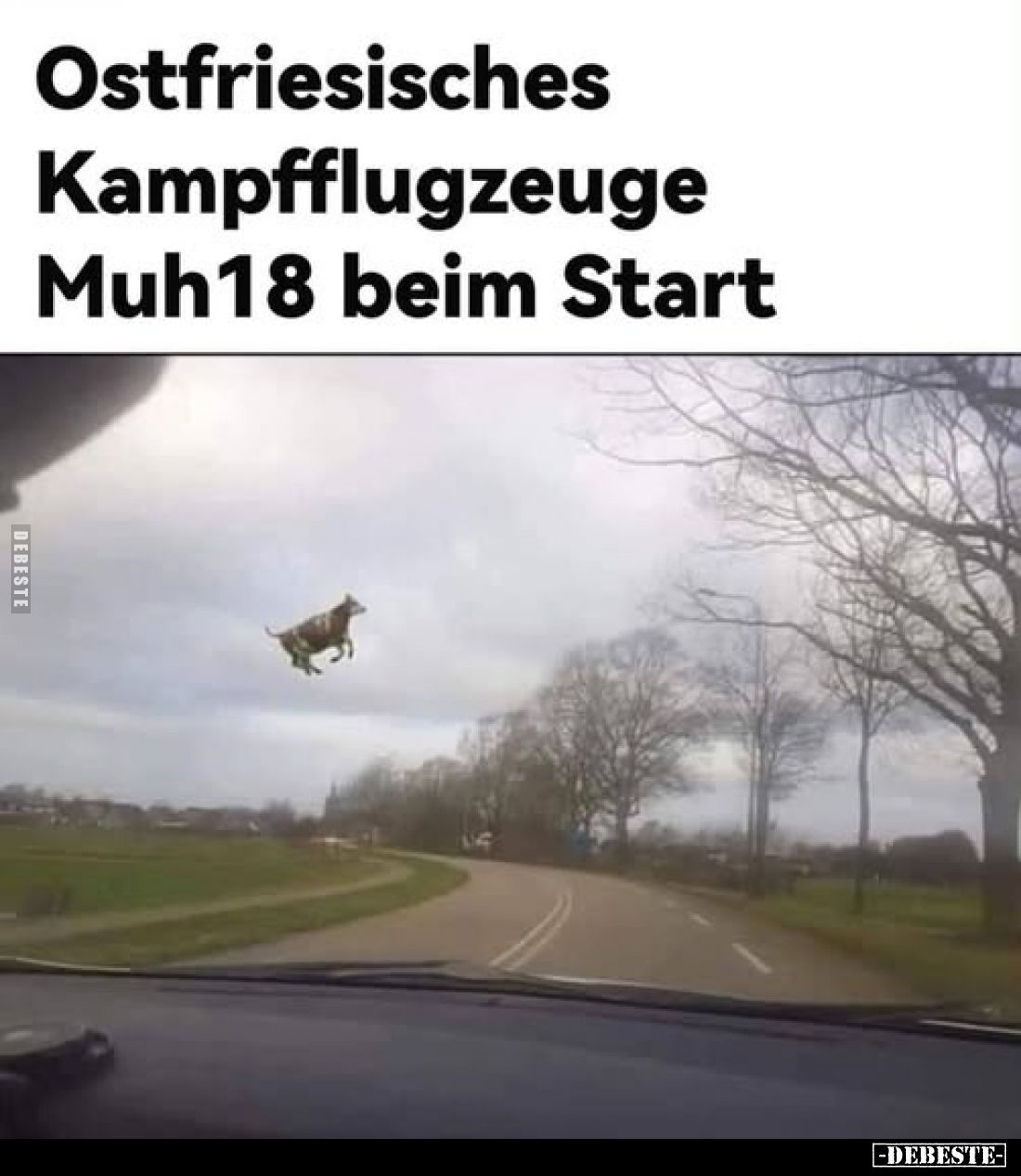 Ostfriesisches Kampfflugzeuge Muh18 beim Start.. - Lustige Bilder | DEBESTE.de