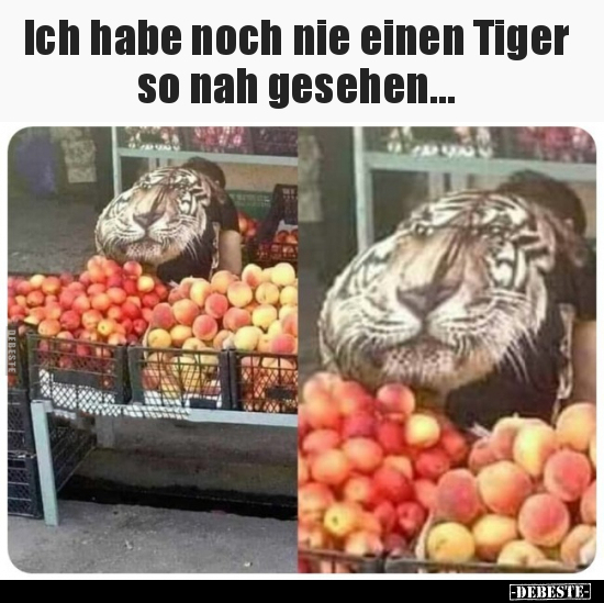 Ich habe noch nie einen Tiger so nah gesehen... - Lustige Bilder | DEBESTE.de