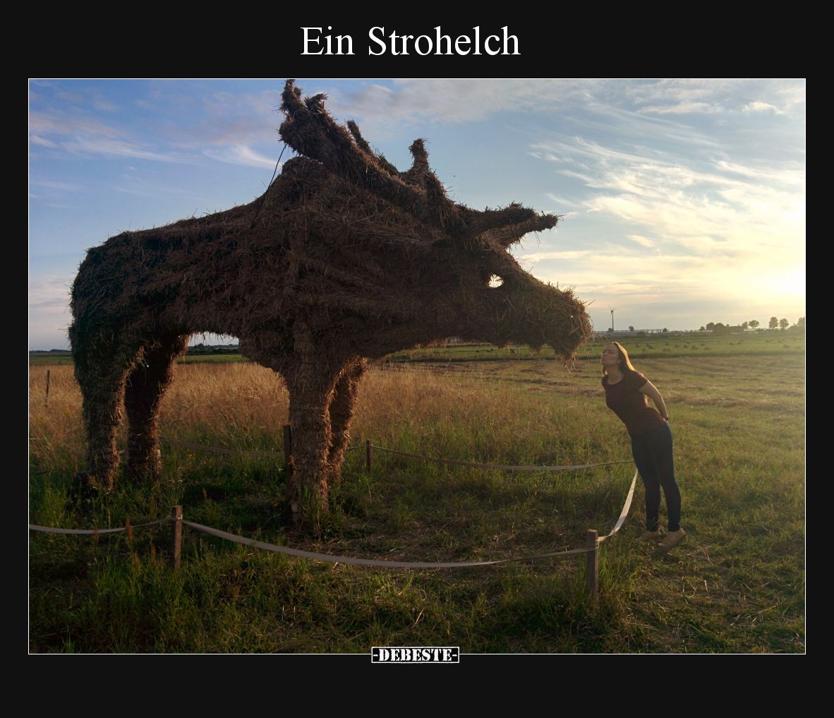 Ein Strohelch
