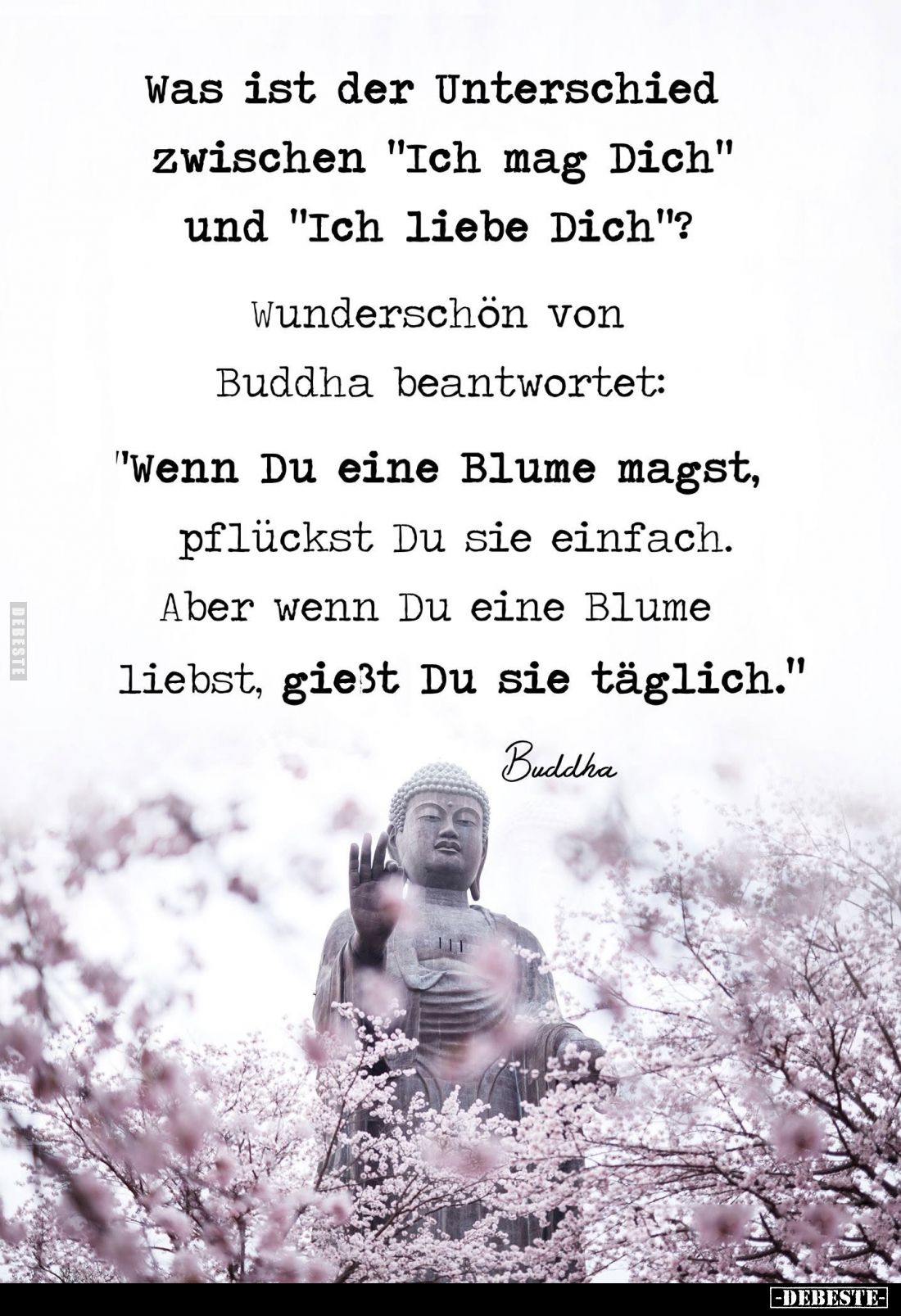Was ist der Unterschied zwischen "Ich mag Dich" und "Ich liebe Dich"?
Wunderschön von Buddha beantwortet...