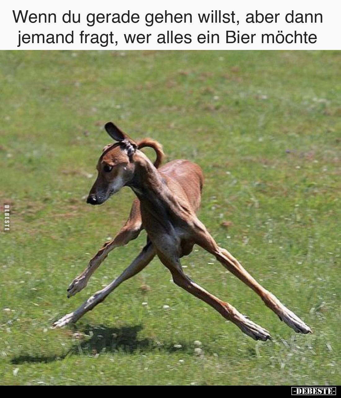 Wenn du gerade gehen willst, aber dann jemand fragt, wer alles ein Bier möchte