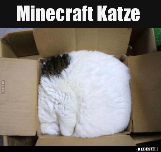 Minecraft Katze.. - Lustige Bilder | DEBESTE.de