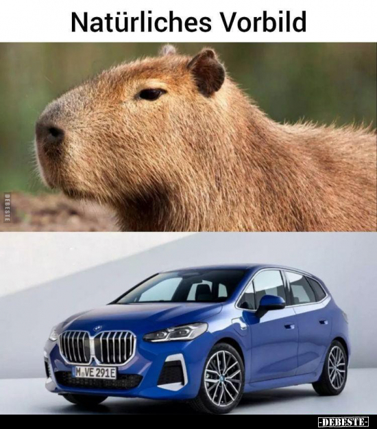 Natürliches Vorbild