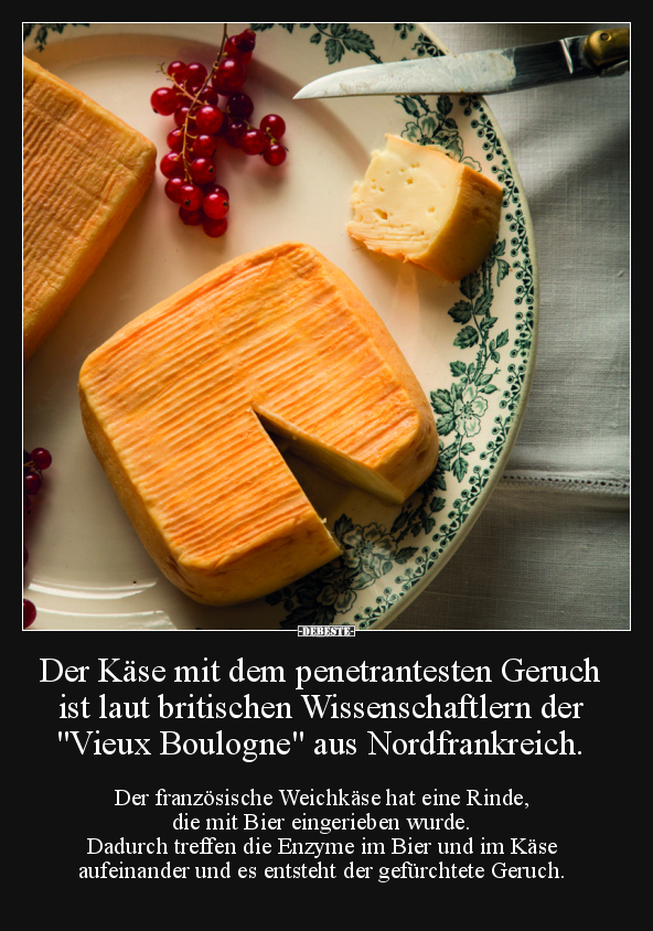 Der Käse mit dem penetrantesten Geruch ist laut britischen.. - Lustige Bilder | DEBESTE.de