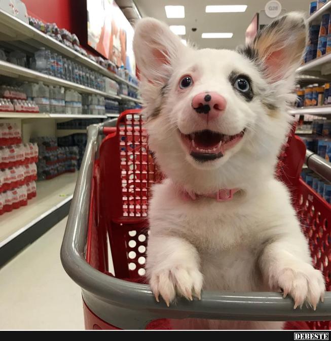 Yuppi.. Wochenendeinkauf!