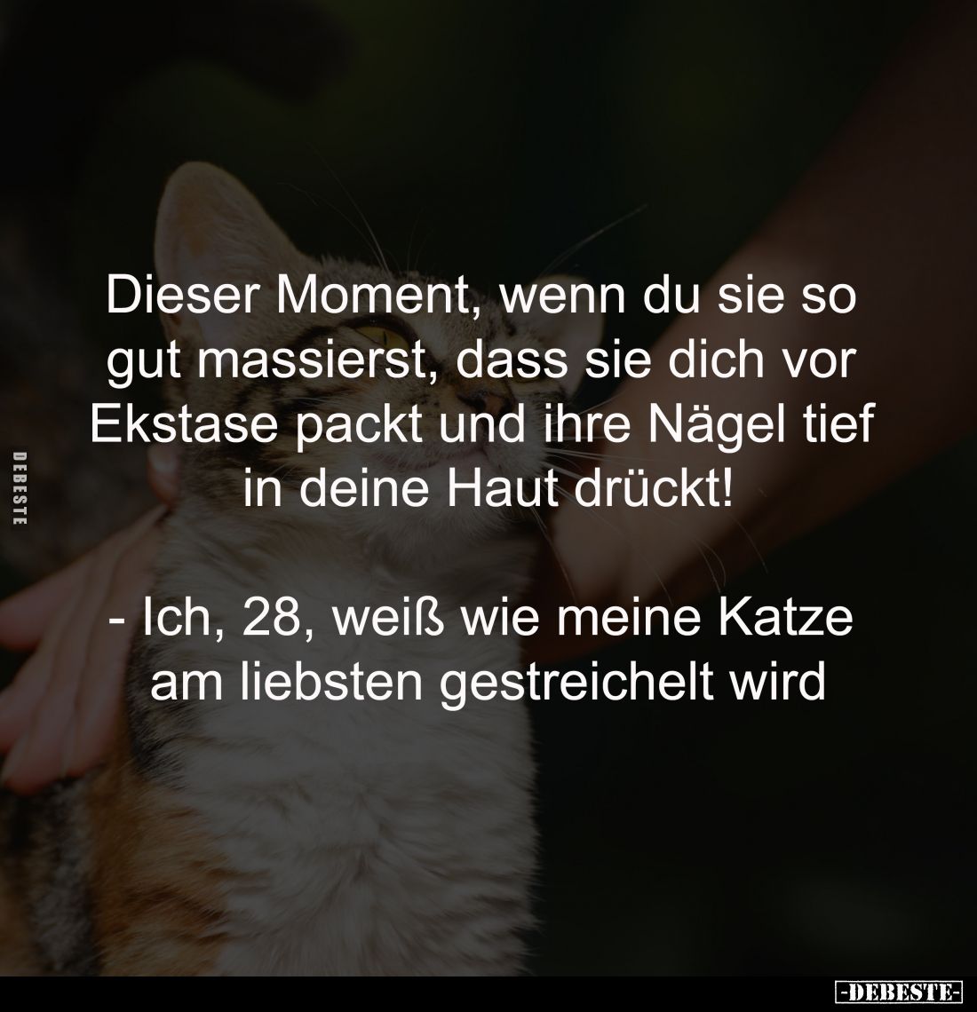 Dieser Moment, wenn du sie so
gut massierst, dass sie dich vor
Ekstase packt und ihre Nägel tief
in deine Haut drückt!
...