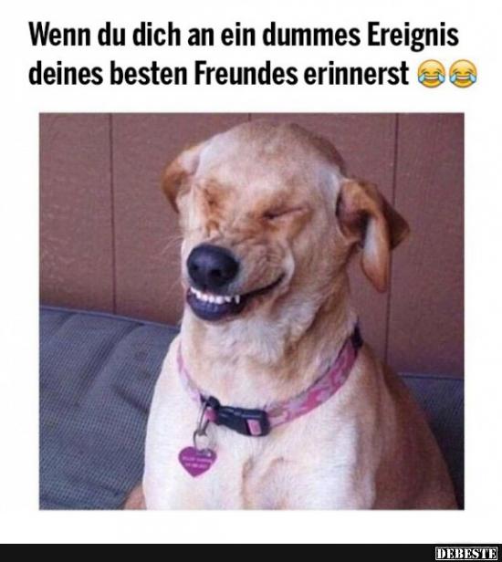 Wenn du dich an ein dummes Ereignis deines besten Freundes..