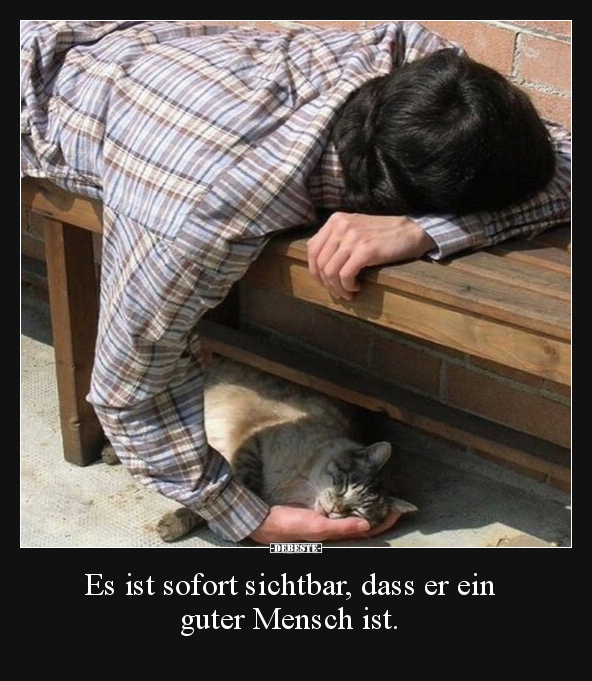 Es ist sofort sichtbar, dass er ein guter Mensch ist... - Lustige Bilder | DEBESTE.de