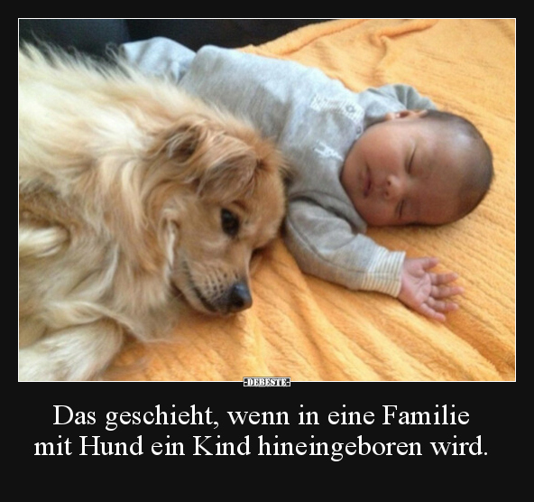 Das geschieht, wenn in eine Familie mit Hund ein Kind.. - Lustige Bilder | DEBESTE.de
