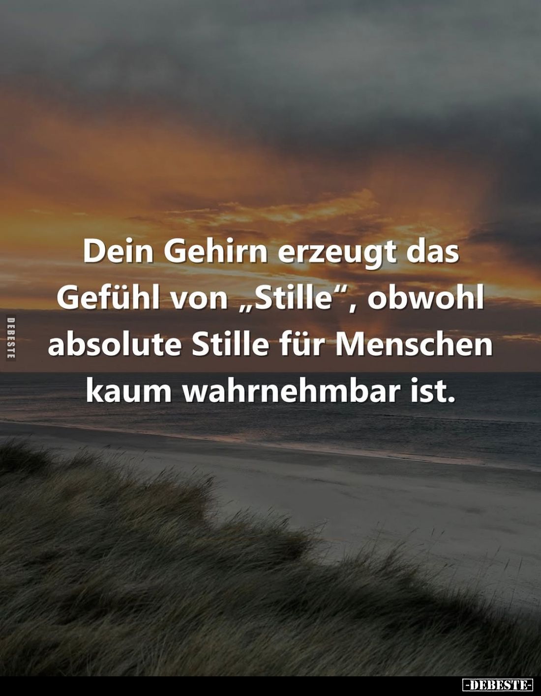 Dein Gehirn erzeugt das Gefühl von "Stille", obwohl absolute Stille für Menschen kaum wahrnehmbar ist.