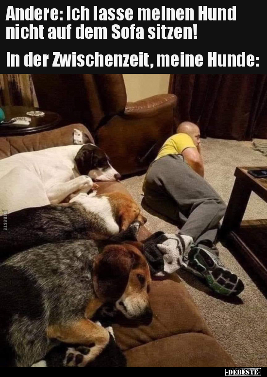 Andere: Ich lasse meinen Hund nicht auf dem Sofa.. - Lustige Bilder | DEBESTE.de