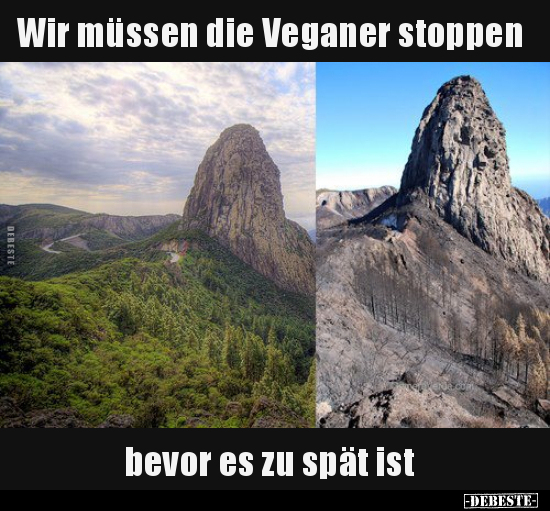 Wir müssen die Veganer stoppen, bevor es zu spät ist.. - Lustige Bilder | DEBESTE.de