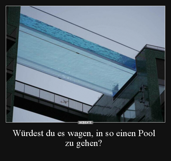 Würdest du es wagen, in so einen Pool zu gehen?.. - Lustige Bilder | DEBESTE.de