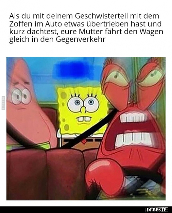 Als du mit deinem Geschwisterteil mit dem Zoffen im Auto.. - Lustige Bilder | DEBESTE.de