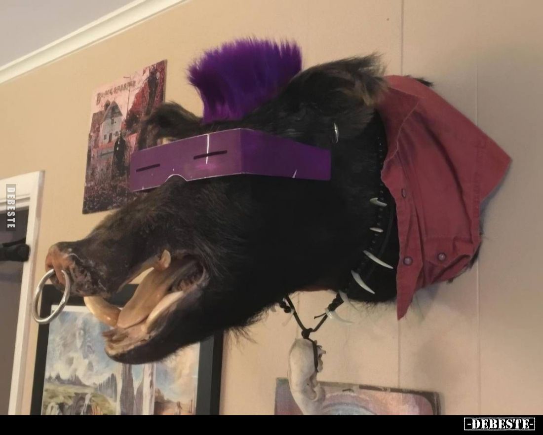  - Lustige Bilder | DEBESTE.de