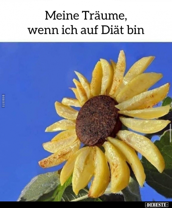 Meine Träume, wenn ich auf Diät bin.