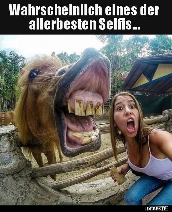 Wahrscheinlich eines der allerbesten Selfis...