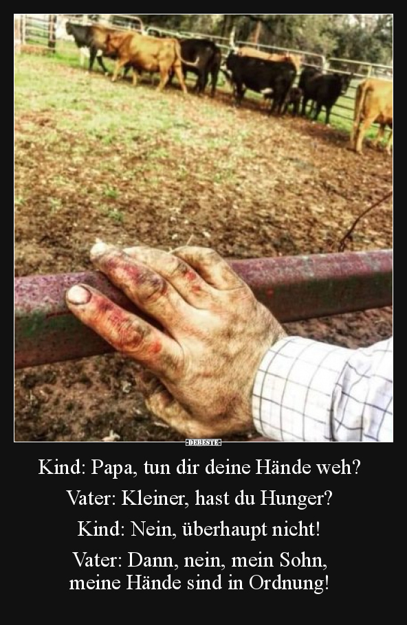 Papa, Vater, Hunger, Nein, Sohn, Ordnung