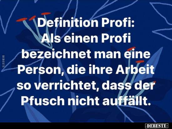 Definition Profi: Als einen Profi bezeichnet man eine.. - Lustige Bilder | DEBESTE.de