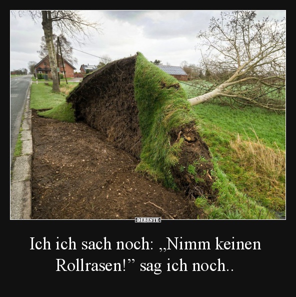 Ich ich sach noch: „Nimm keinen Rollrasen!” sag ich noch.. - Lustige Bilder | DEBESTE.de