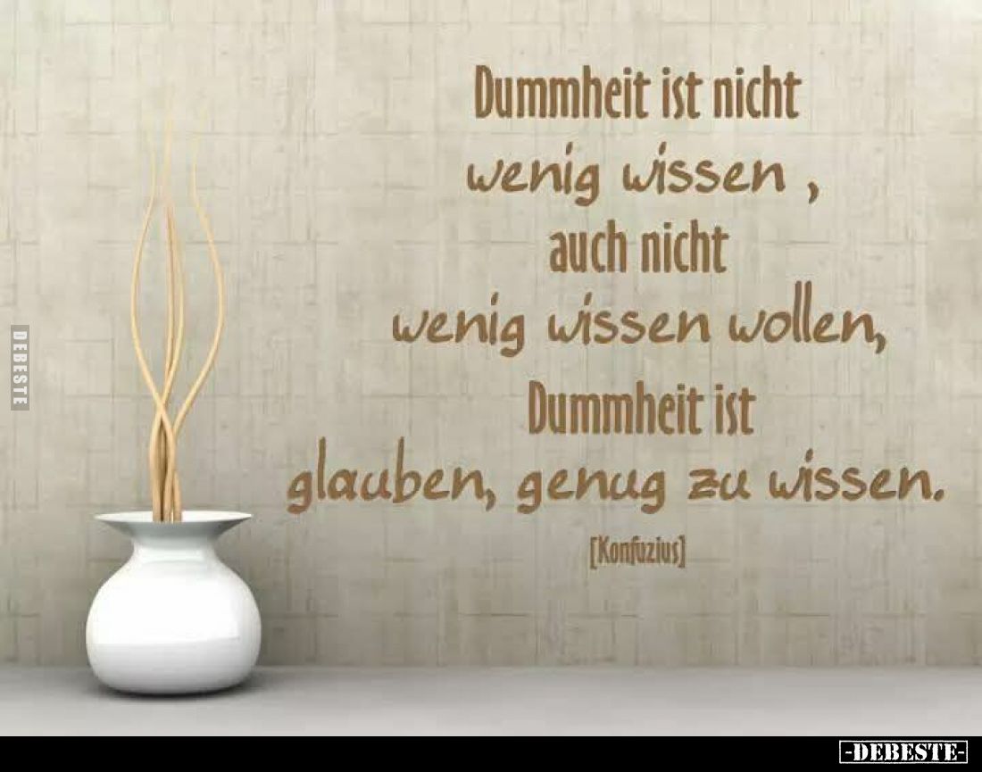 Dummheit ist nicht wenig wissen, auch nicht wenig wissen wollen, Dummheit ist glauben, genug zu wissen.
[Konfuzius]