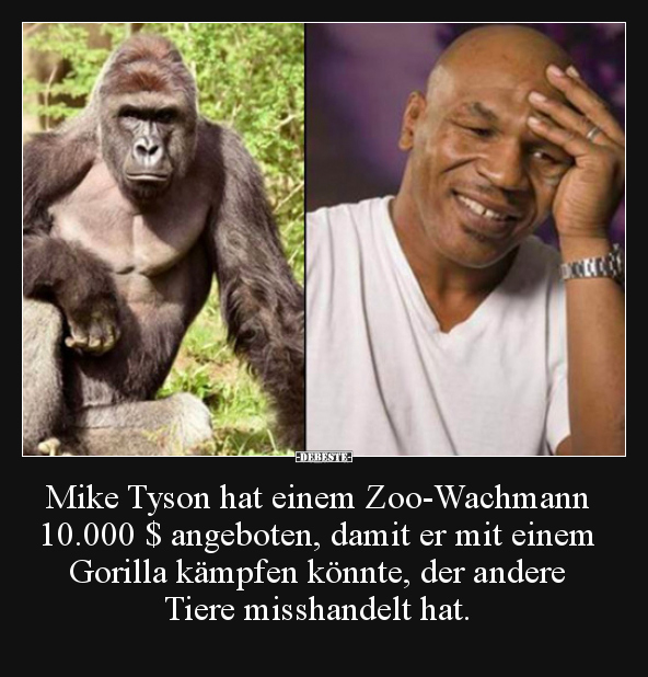 Mike Tyson hat einem Zoo-Wachmann 10.000 $ angeboten.. - Lustige Bilder | DEBESTE.de