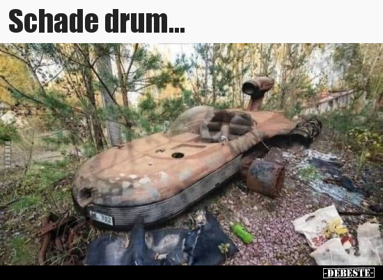 Schade drum