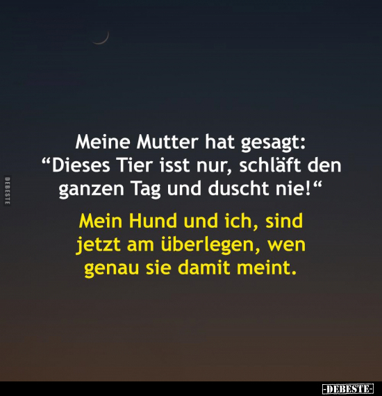 Meine Mutter hat gesagt:.. - Lustige Bilder | DEBESTE.de