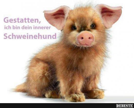 Gestatten, ich bin dein innerer Schweinehund.. - Lustige Bilder | DEBESTE.de