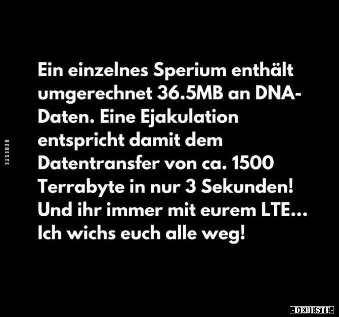 Ein einzelnes Sperium enthält umgerechnet 36.5MB an DNA-Daten. Eine Ejakulation entspricht damit dem Datentransfer von ca. 15...