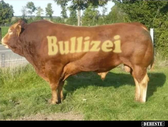 Bullizei.. - Lustige Bilder | DEBESTE.de