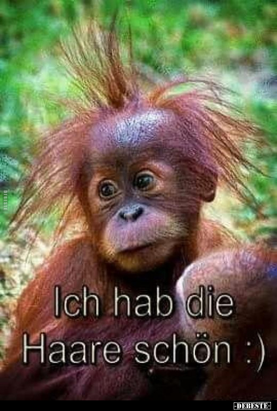 Ich hab die Haare schon ;).. - Lustige Bilder | DEBESTE.de