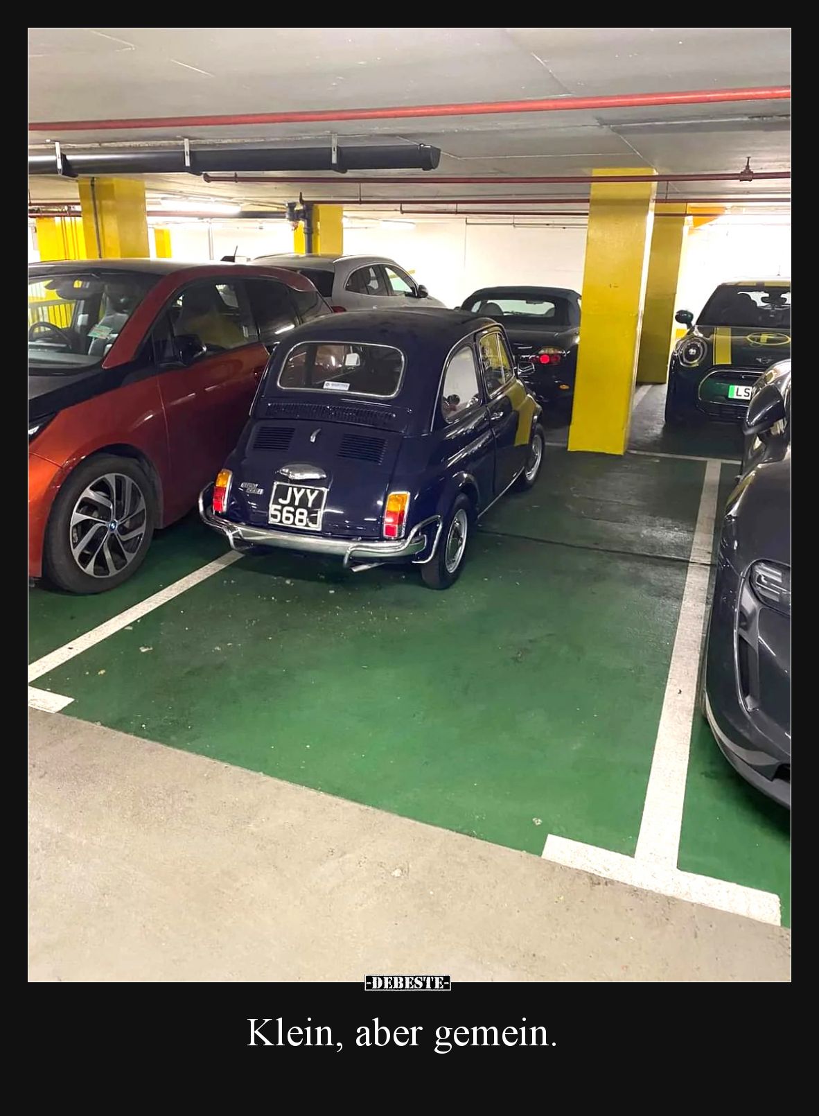 Klein, aber gemein... - Lustige Bilder | DEBESTE.de