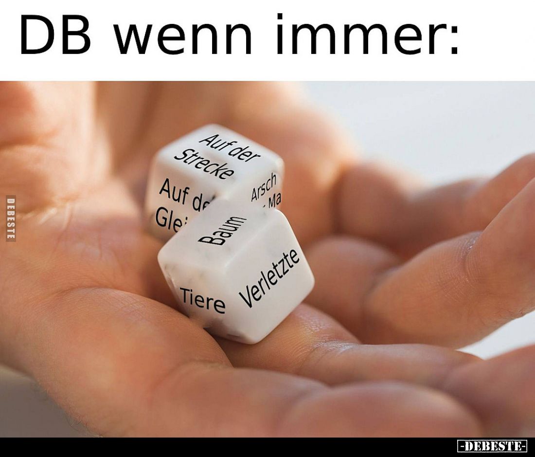DB wenn immer:
Auf der Strecke.
Auf den Gleisen.
Baum.
Verletzte.
Tiere.